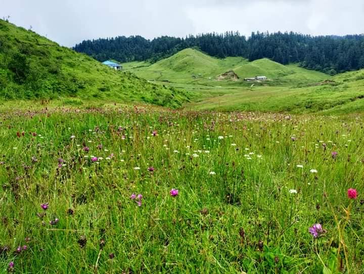 Khaptad – a must visit place of Far-West Nepal